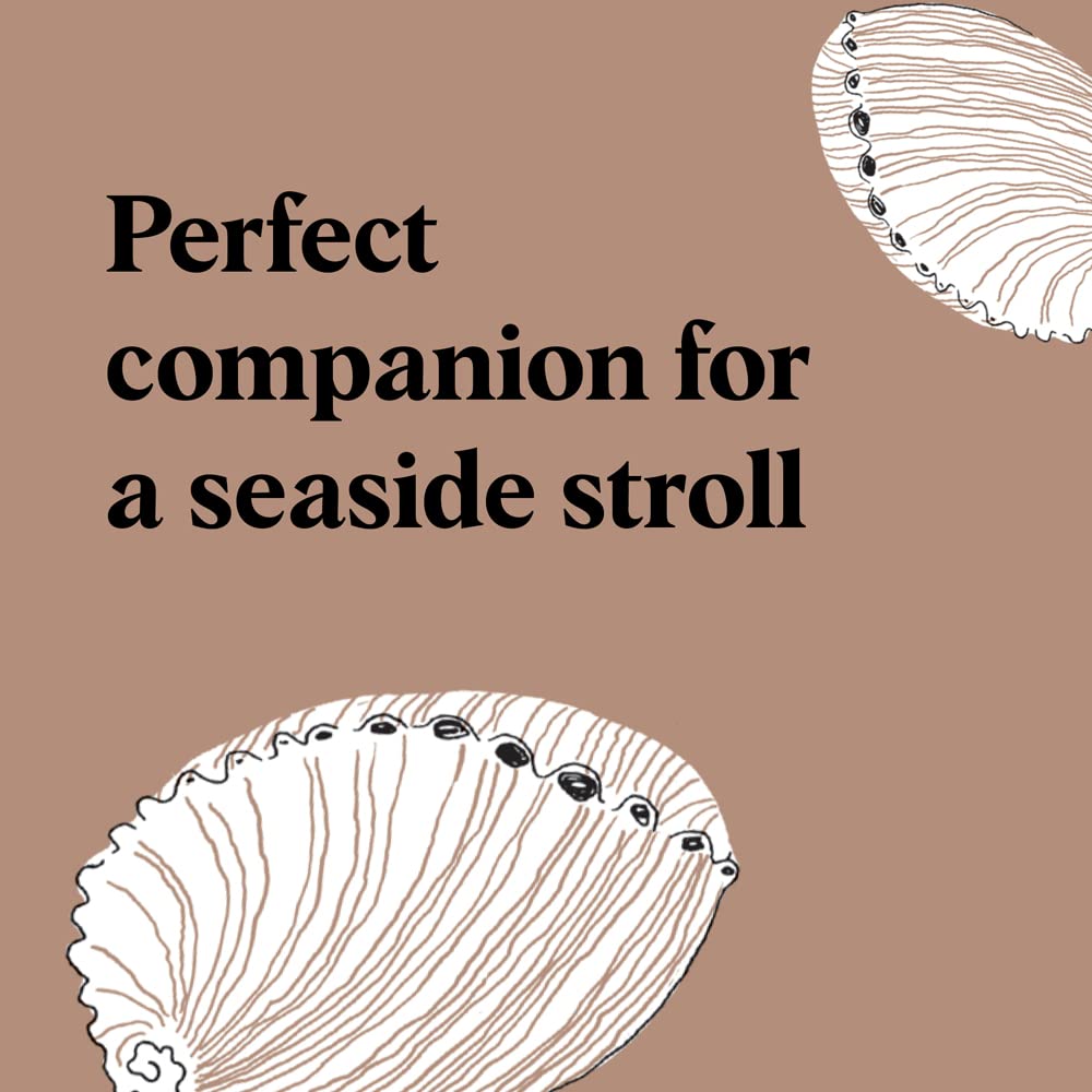 Pocket Nature Series: Beachcombing: Cultivate Mindful Moments by the Shore