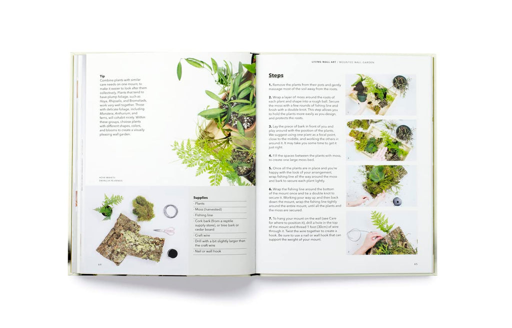 How To Plant a Room: And Grow a Happy Home