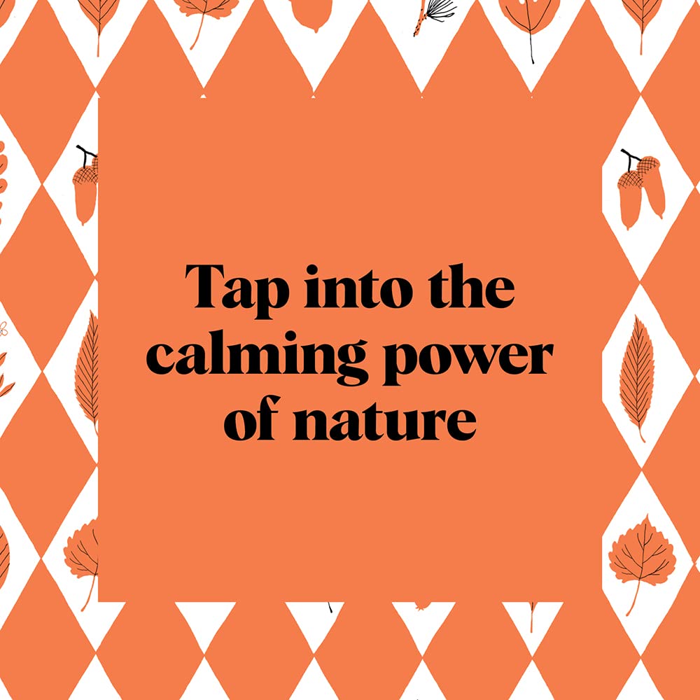 Pocket Nature Series: Leaf-Peeping: Discover the Seasonal Wonder of Fall Foliage