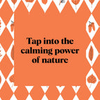 Pocket Nature Series: Leaf-Peeping: Discover the Seasonal Wonder of Fall Foliage