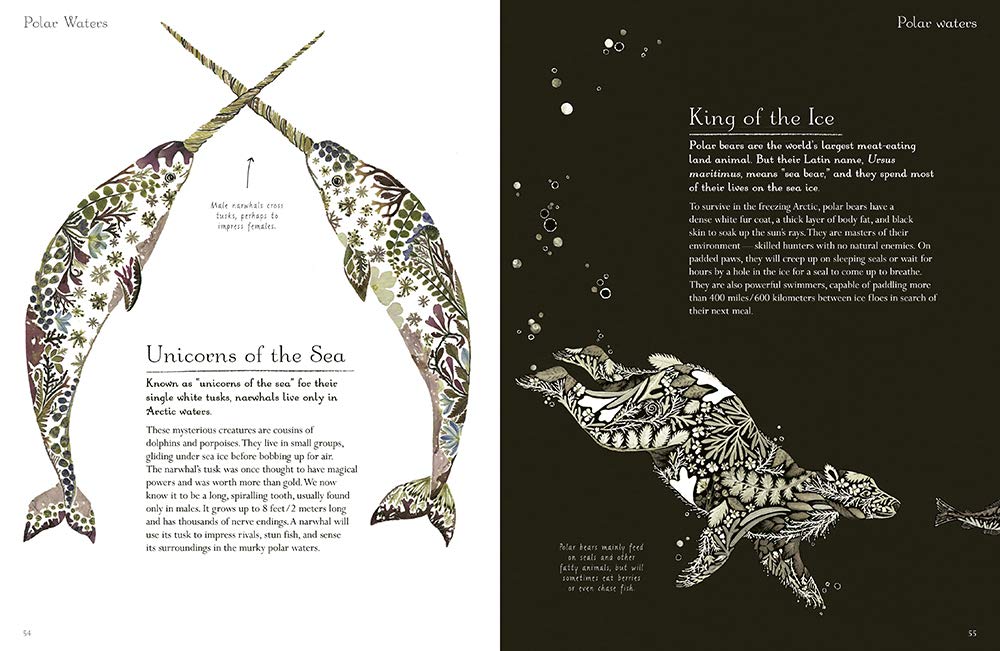 Beneath the Waves