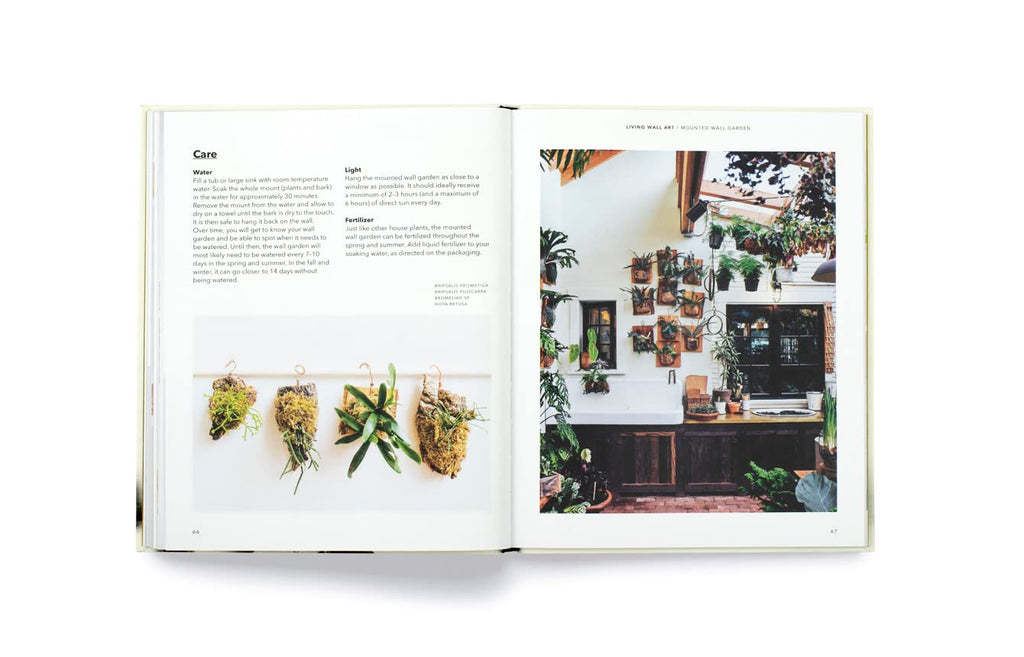 How To Plant a Room: And Grow a Happy Home