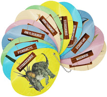 Jumbo Dino Egg Dig Kit