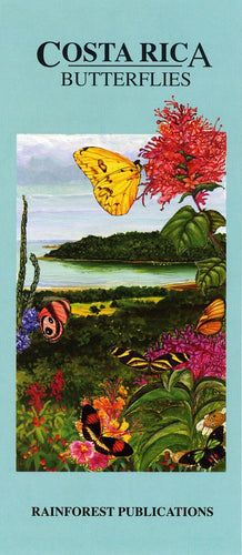 Costa Rica Butterflies Wildlife Guide