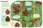 A Book of Monkeys
