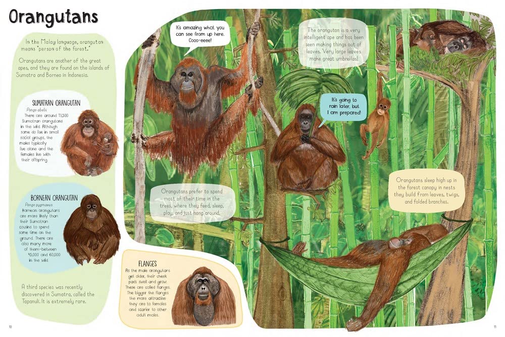 A Book of Monkeys