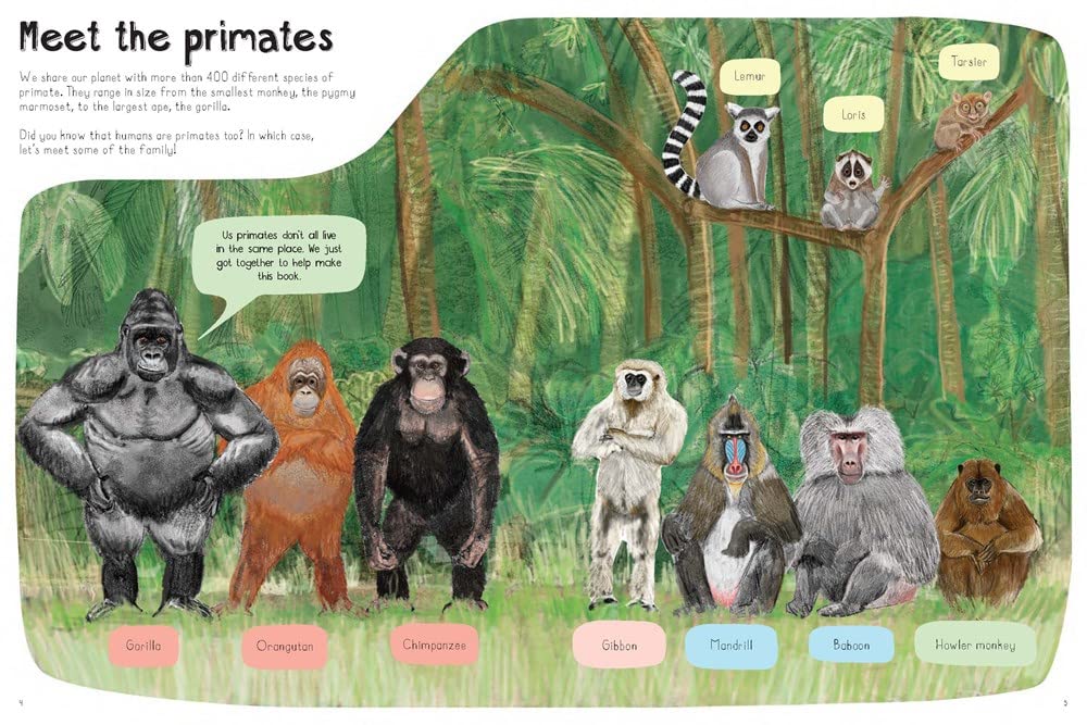 A Book of Monkeys