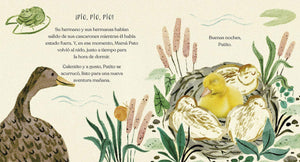 Buenas Noches Patito