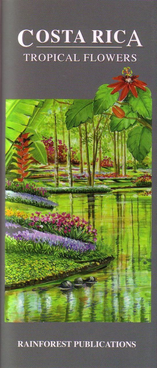 Costa Rica Tropical Flowers Identification Guide