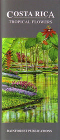 Costa Rica Tropical Flowers Identification Guide