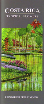 Costa Rica Tropical Flowers Identification Guide