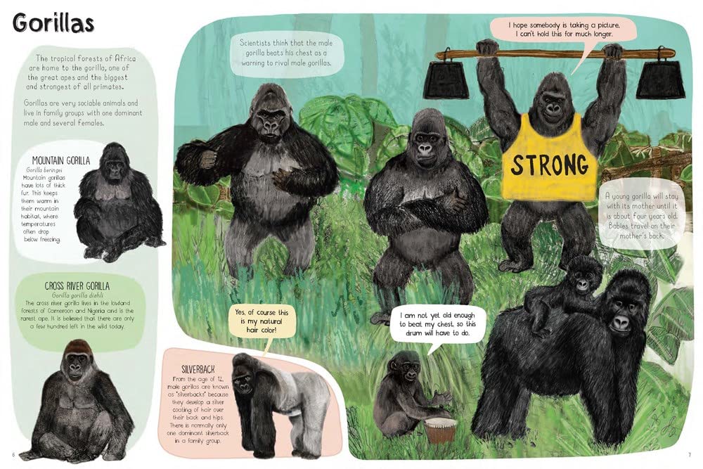 A Book of Monkeys