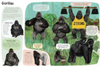 A Book of Monkeys