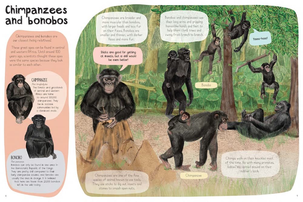A Book of Monkeys