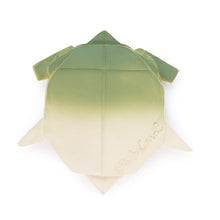 H2O Origami Turtle