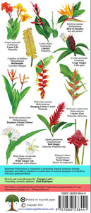 Costa Rica Tropical Flowers Identification Guide