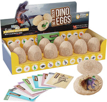 Dino Eggs