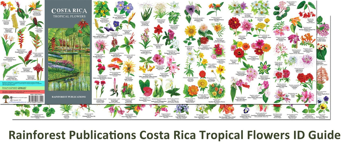 Costa Rica Tropical Flowers Identification Guide