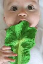 Kendall The Kale