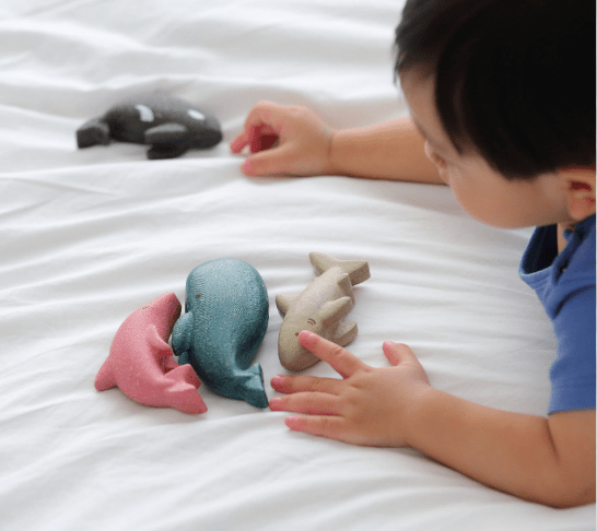 Sea Life Set