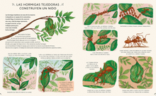 Con calma, 50 historias de la naturaleza