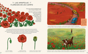 Con calma, 50 historias de la naturaleza