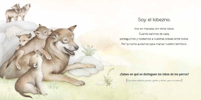 ¿Quién soy? Crías de animales Europa