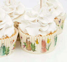 Peter Rabbit & Friends Cupcake Kit