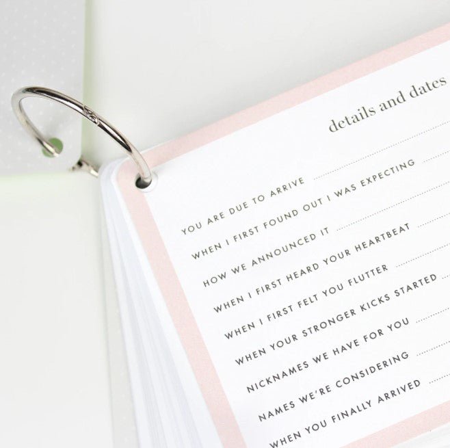 The Baby Bump Journal