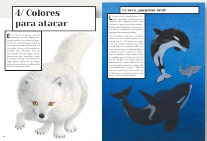 Color animal