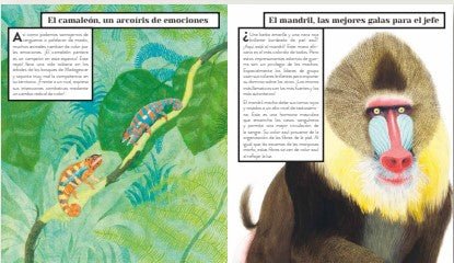 Color animal