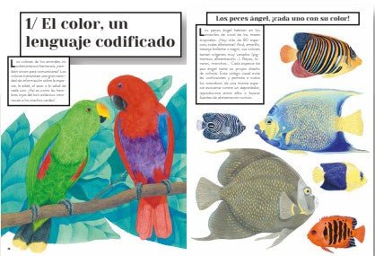 Color animal