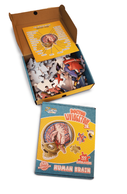 Human Brain Floor Kids Puzzle