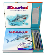 Learn & Draw Sharks