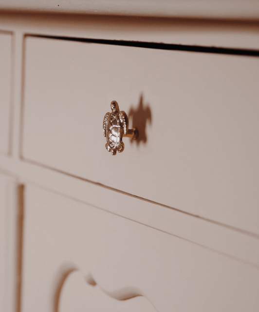 Tommy Turtle Knob