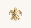 Tommy Turtle Knob