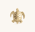 Tommy Turtle Knob