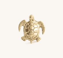 Tommy Turtle Knob