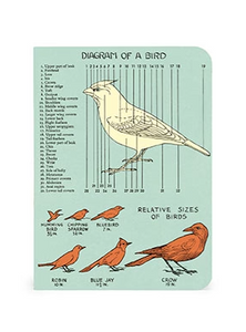 Bird Watching Mini Notebooks