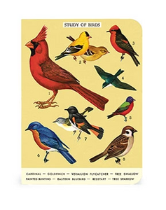 Bird Watching Mini Notebooks