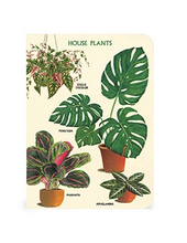 Houseplants Mini Notebooks