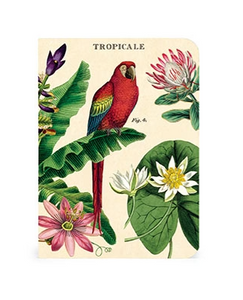 Tropicale Mini Notebooks