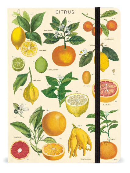 Citrus Large Notebook