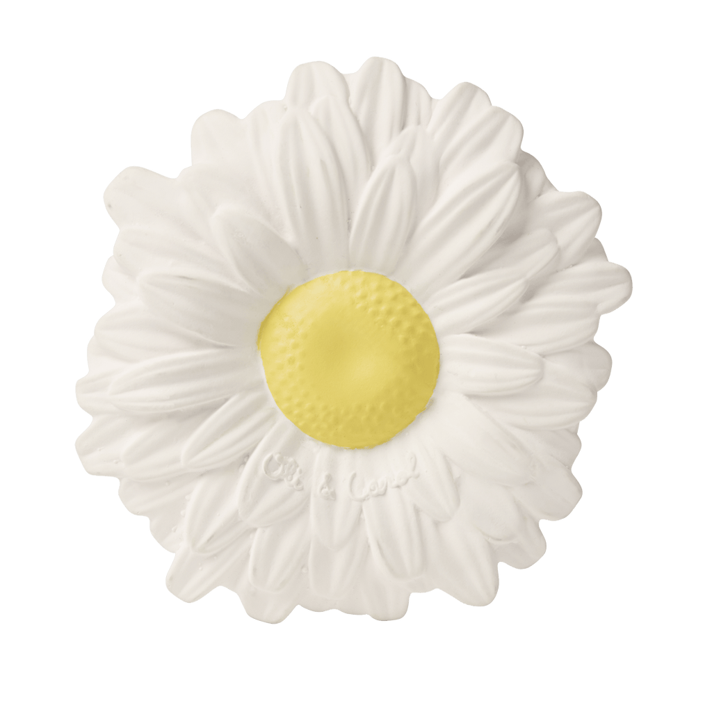 Margarita the Daisy