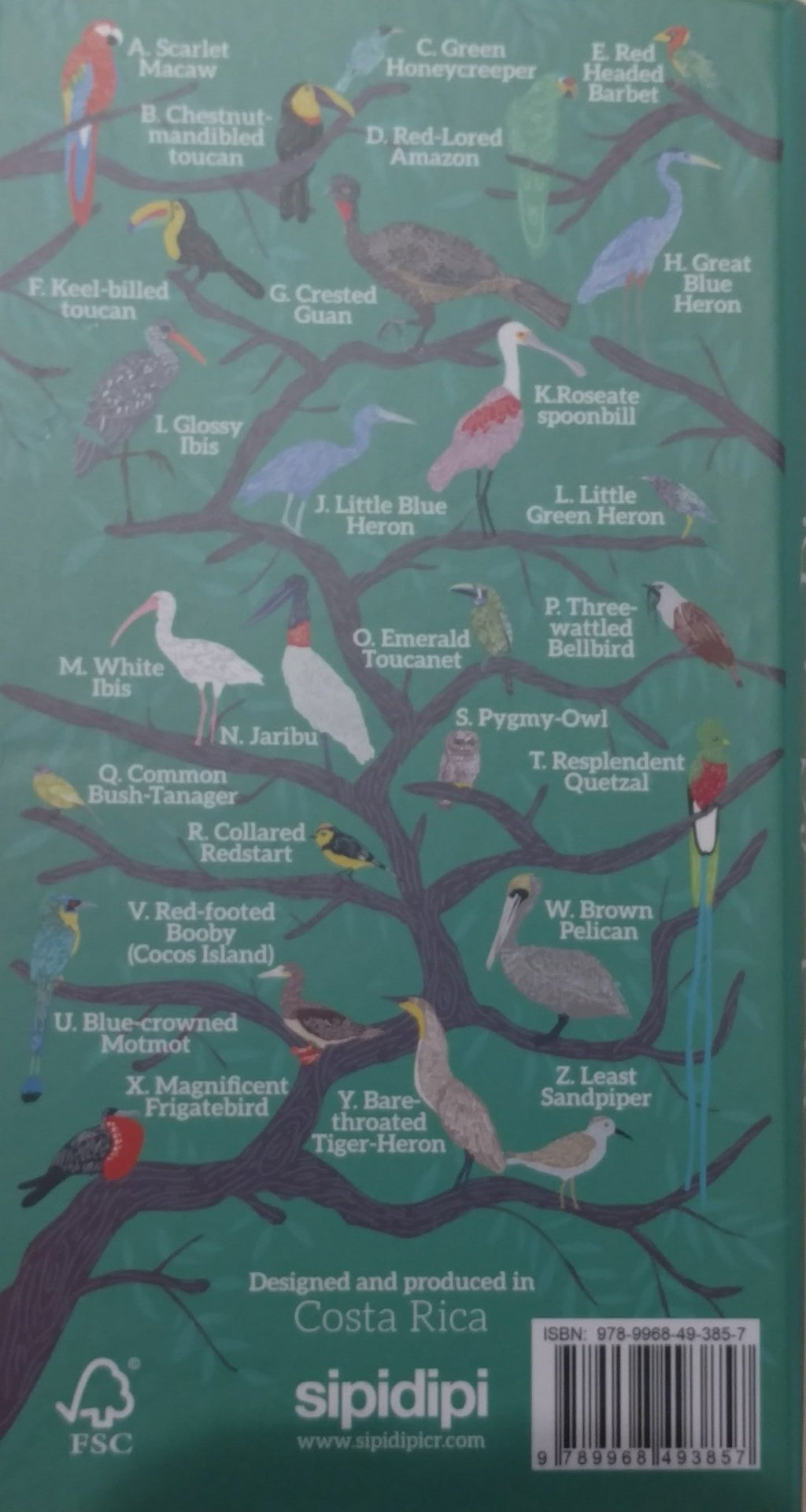 Birds of Costa Rica