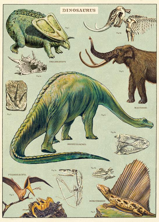 Dinosaurs Posters