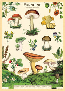Forage Posters
