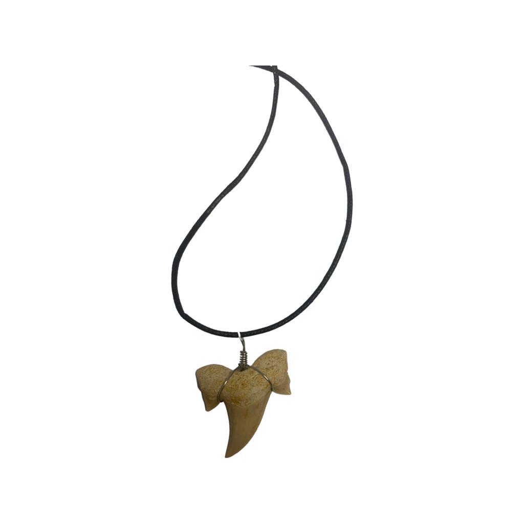 Large Fossil Shark Tooth Necklace