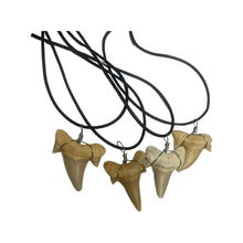 Large Fossil Shark Tooth Necklace