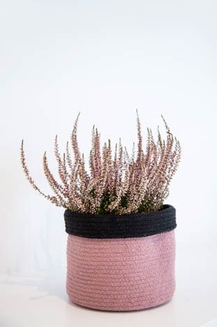 Cesta Dual Black -Ash Rose